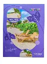 Arithmetic notebook 172 Page's 