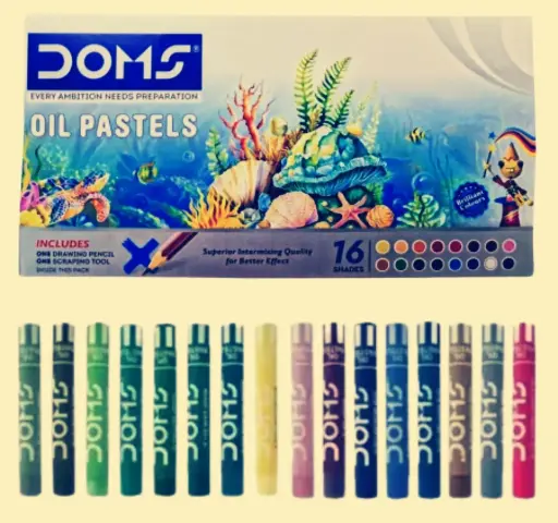 Doms oil pastel color 16 shades box
